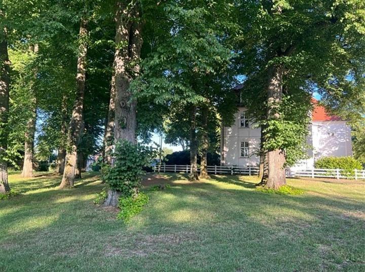 Familienfreundliche Ferienwohnung Mit Wintergarten Badow Exterior foto